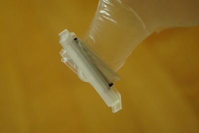 DSC04511 (Large).JPG